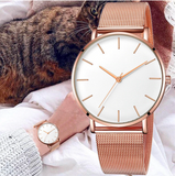 Luxury ladies mesh bracelet watch